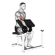 Dumbbell One Arm Reverse Preacher Curl exercise animation