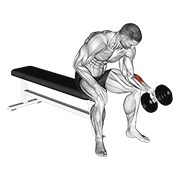 Dumbbell One Arm Seated Neutral Wrist Curl form demonstration - targeted for Forearms Lower Arms workouts