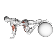 Exercise Ball One Leg Prone Lower Body Rotation form demonstration - targeted for Glutes Upper Legs workouts