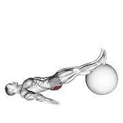 Exercise Ball One Legged Diagonal Kick Hamstring Curl exercise animation