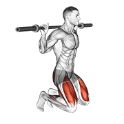 Kneeling Jump Squat exercise animation