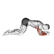Modified Push Up To Lower Arms exercise animation
