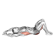 Pelvic Tilt Into Bridge exercise animation