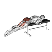 Reverse Hyper On Flat Bench exercise animation