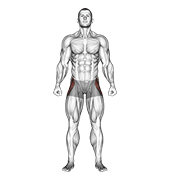 Straight Leg Outer Hip Abductor exercise animation