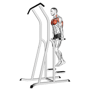 Chest Dip (on Dip-Pull-Up Cage) exercise animation