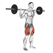 Barbell Low Bar Squat exercise animation