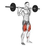 Barbell High Bar Squat exercise animation