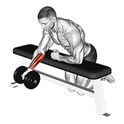 Dumbbell Over Bench One Arm Reverse Wrist Curl form demonstration - targeted for Forearms Lower Arms workouts