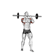 Barbell Standing Close Grip Military Press form demonstration - targeted for Delts Shoulders workouts