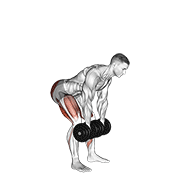 Dumbbell Romanian Deadlift exercise animation