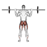 Barbell Full Squat (back Pov) form demonstration - targeted for Glutes Upper Legs workouts