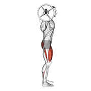 Barbell Full Squat (side Pov) exercise animation