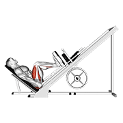 Sled 45° Leg Press (side Pov) exercise animation