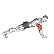 Push-Up On Lower Arms exercise animation