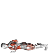 Inchworm form demonstration - targeted for Abs Waist workouts