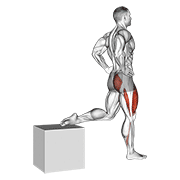 One Leg Squat exercise animation