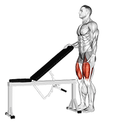 Sissy Squat exercise animation