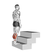 Standing Calf Raise (on A Staircase) form demonstration - targeted for Calves Lower Legs workouts