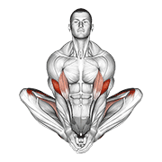 Butterfly Yoga Pose exercise animation