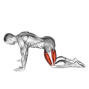 All Fours Squad Stretch exercise animation