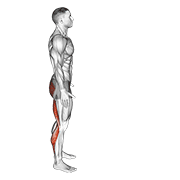 Runners Stretch form demonstration - targeted for Hamstrings Upper Legs workouts