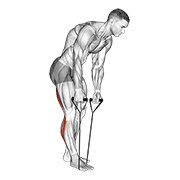 Standing Hamstring And Calf Stretch With Strap exercise animation