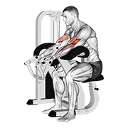Lever Preacher Curl V. 2 exercise animation