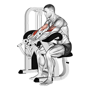 Lever Reverse Grip Preacher Curl form demonstration - targeted for Biceps Upper Arms workouts