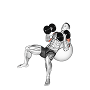 Dumbbell Incline Hammer Press On Exercise Ball form demonstration - targeted for Triceps Upper Arms workouts
