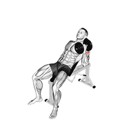 Dumbbell Incline One Arm Hammer Press form demonstration - targeted for Triceps Upper Arms workouts