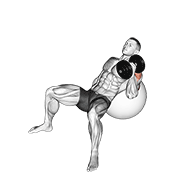 Dumbbell Incline One Arm Hammer Press On Exercise Ball form demonstration - targeted for Triceps Upper Arms workouts