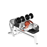 Dumbbell Reverse Bench Press exercise animation