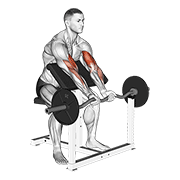 EZ Barbell Close Grip Preacher Curl exercise animation