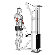 Cable Drag Curl exercise animation