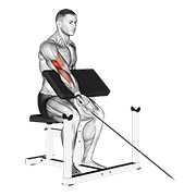Cable One Arm Preacher Curl exercise animation