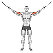 Cable Overhead Curl form demonstration - targeted for Biceps Upper Arms workouts