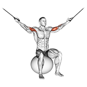 Cable Overhead Curl On Exercise Ball exercise animation