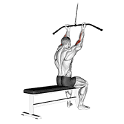 Cable Pulldown Bicep Curl exercise animation
