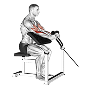 Cable Rope Hammer Preacher Curl exercise animation
