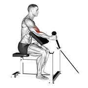 Cable Rope One Arm Hammer Preacher Curl form demonstration - targeted for Biceps Upper Arms workouts