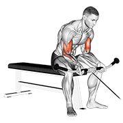 Cable Seated Curl exercise animation