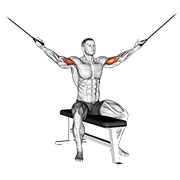 Cable Seated Overhead Curl exercise animation