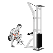 Cable Squatting Curl exercise animation