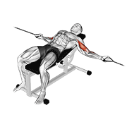 Cable Two Arm Curl On Incline Bench form demonstration - targeted for Biceps Upper Arms workouts