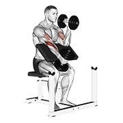 Dumbbell Alternate Hammer Preacher Curl form demonstration - targeted for Biceps Upper Arms workouts