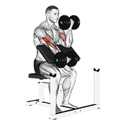 Dumbbell Alternate Preacher Curl form demonstration - targeted for Biceps Upper Arms workouts