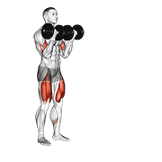 Dumbbell Bicep Curl Lunge With Bowling Motion exercise animation