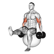 Dumbbell Bicep Curl On Exercise Ball With Leg Raised form demonstration - targeted for Biceps Upper Arms workouts