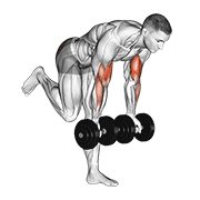 Dumbbell Bicep Curl With Stork Stance exercise animation